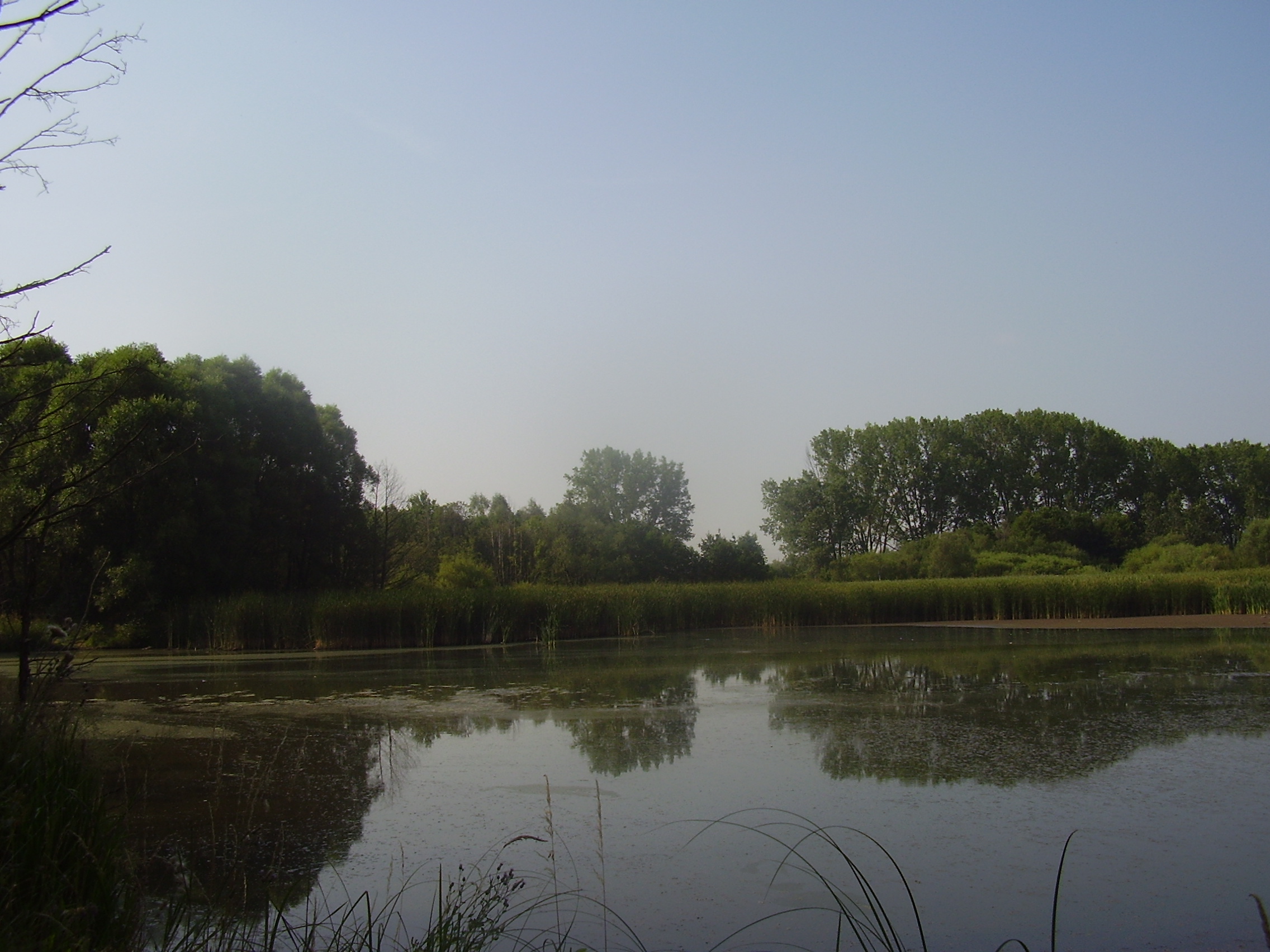 P1010061.JPG