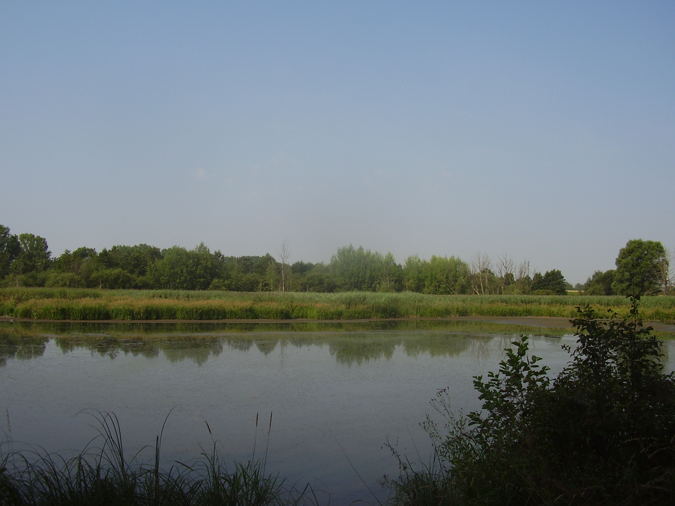 P1010058.JPG