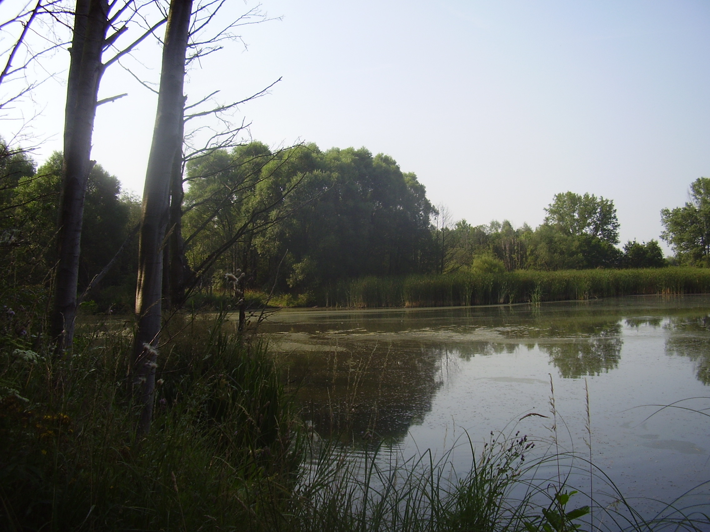 P1010059.JPG2